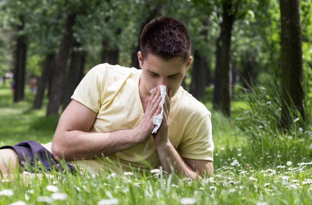Pollen Allergy Symptoms vs Cold: How to Tell the Difference