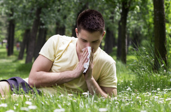 Pollen Allergy Symptoms vs Cold: How to Tell the Difference