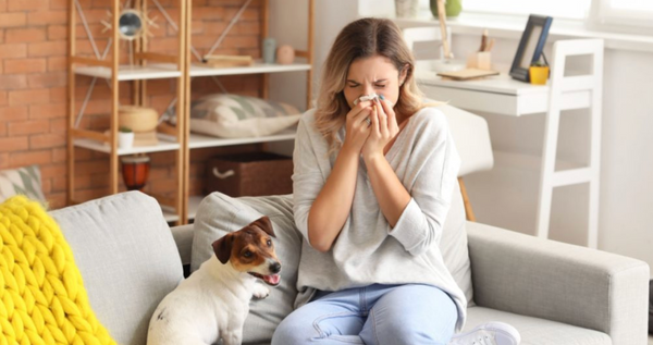 Why Am I Suddenly Allergic to My House? Common Causes Explained