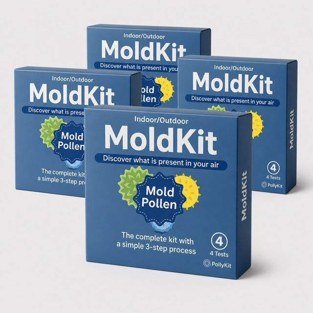MoldKit Yearly