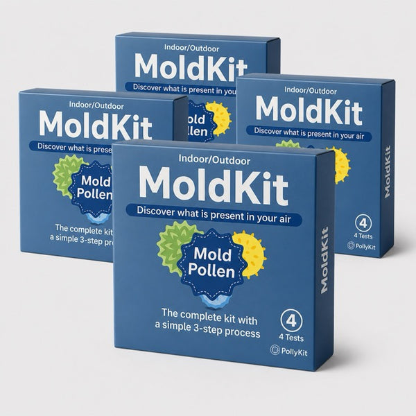 MoldKit Yearly